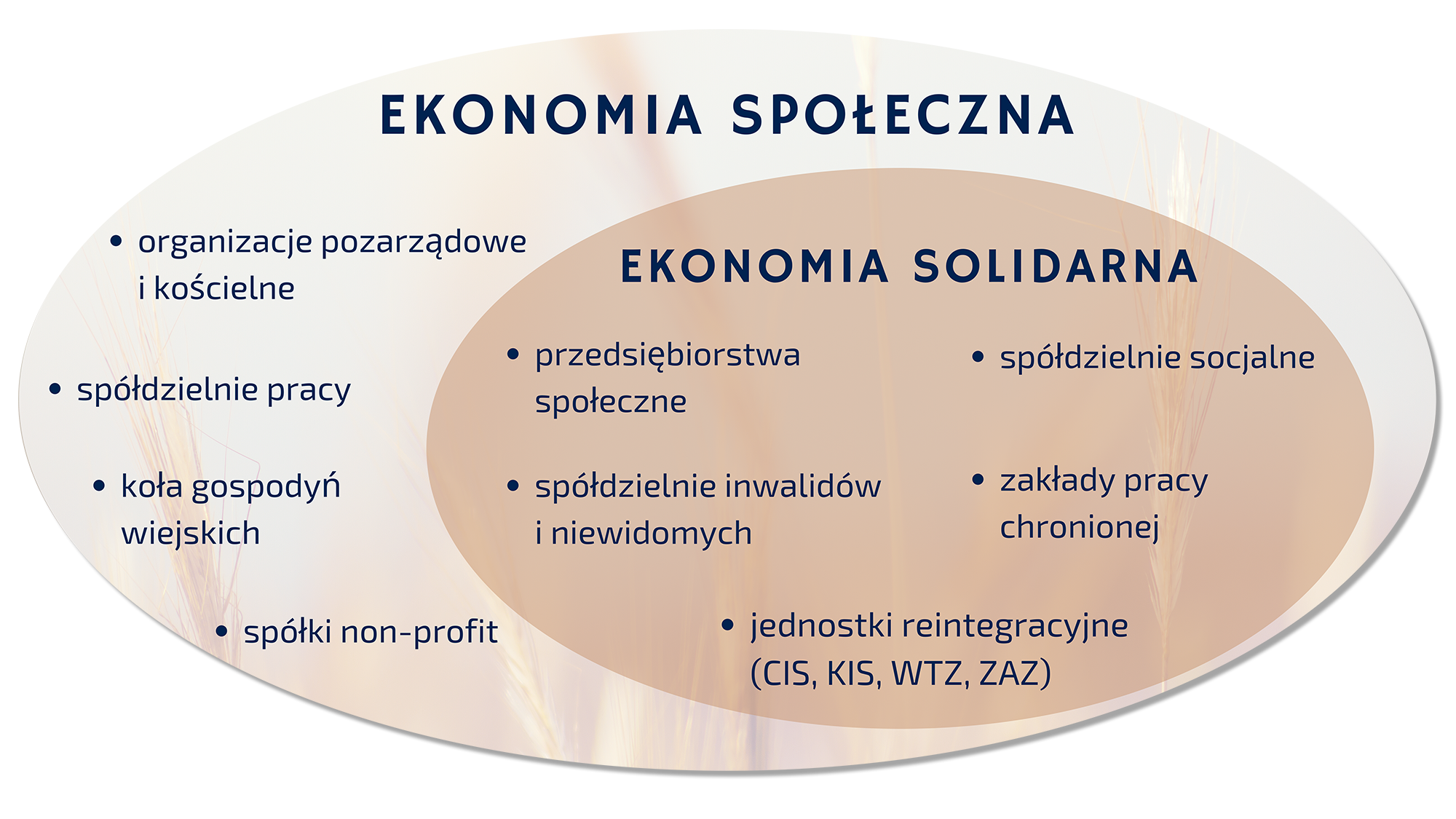 Schemat przedstawiający podział ekonomii społecznej i solidarnej z przypisanymi im formami prawnymi.